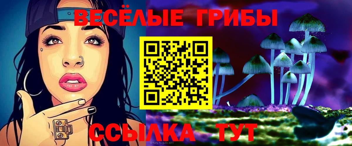 Псилоцибиновые грибы мухоморы Клинцы