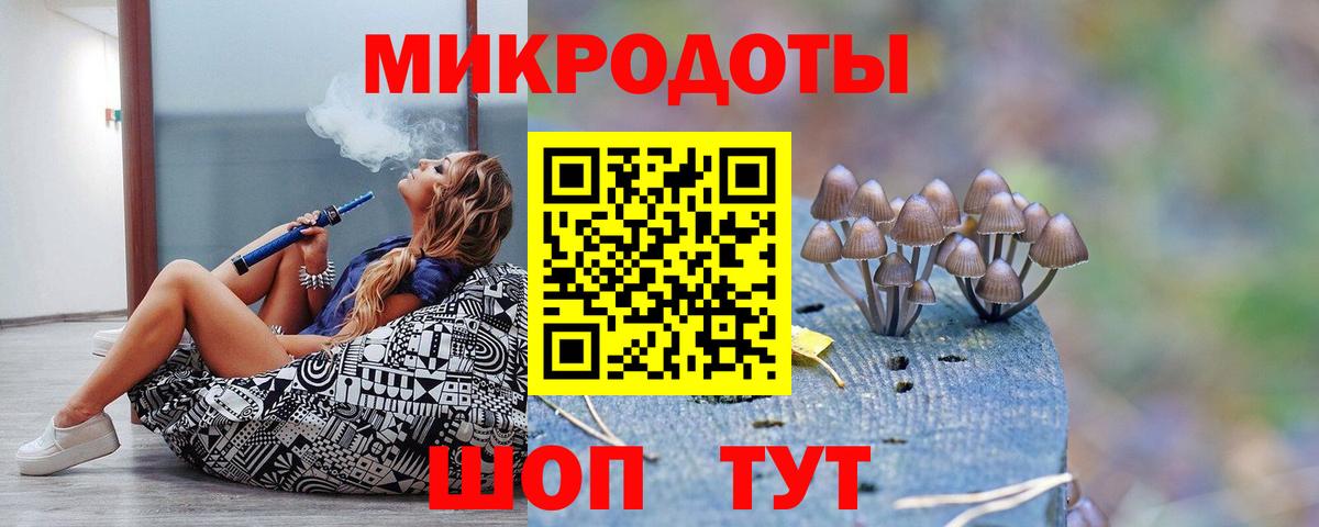 Клинцы  Галлюциногенные грибы прущие грибы  Вход с VPN 